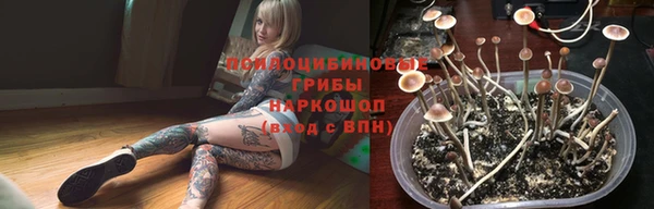 прущая мука Арсеньев