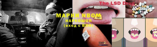 прущая мука Арсеньев