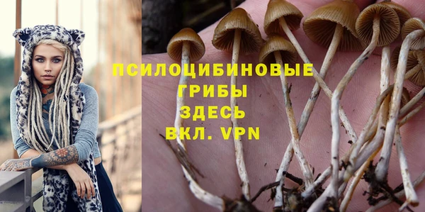 прущая мука Арсеньев