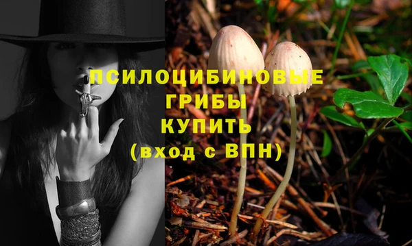 прущая мука Арсеньев
