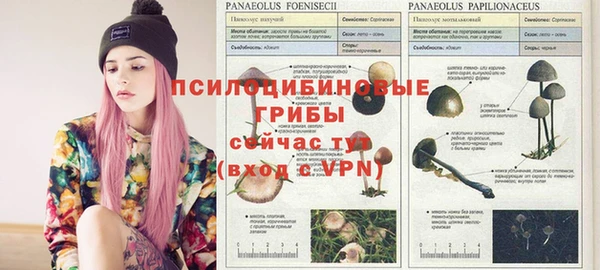 кокаин колумбия Аркадак