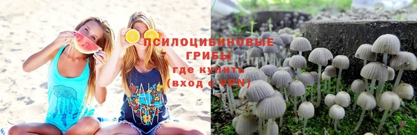 прущая мука Арсеньев