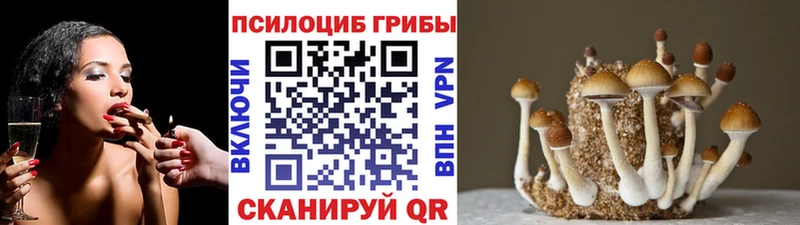 Псилоцибиновые грибы прущие грибы  цены   Дно 
